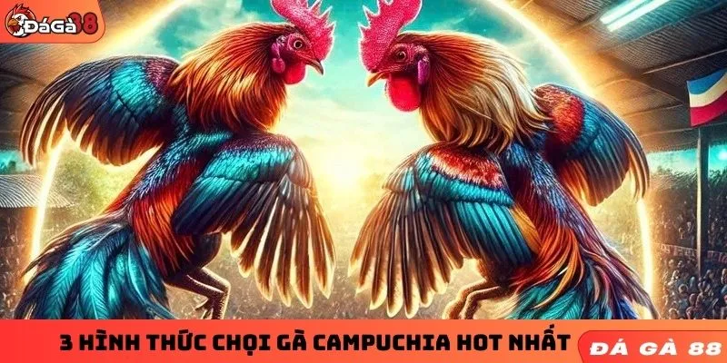 3 hình thức chọi gà Campuchia hot nhất