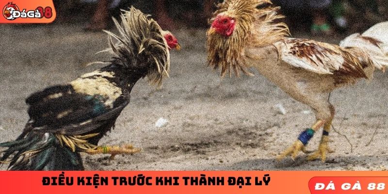 Điều kiện khi thành đại lý