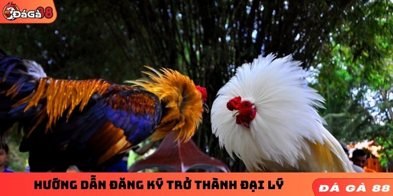 Hướng dẫn cách trở thành đại lý