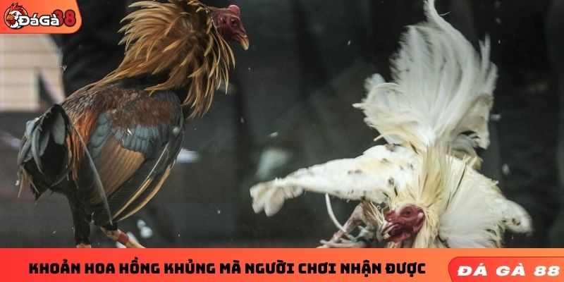 Khoản hoa hồng khủng mà người chơi nhận được