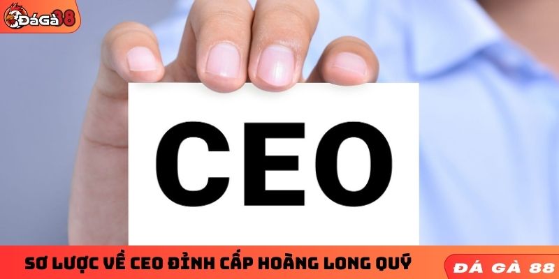 Sơ lược về CEO đỉnh cấp Hoàng Long Quý