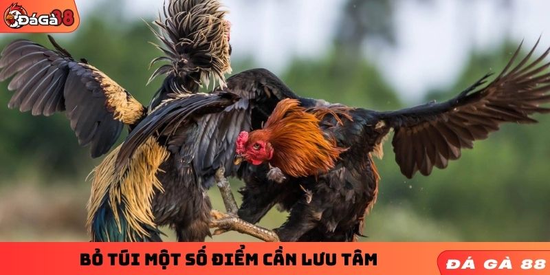 Bỏ túi một số điểm cần lưu tâm