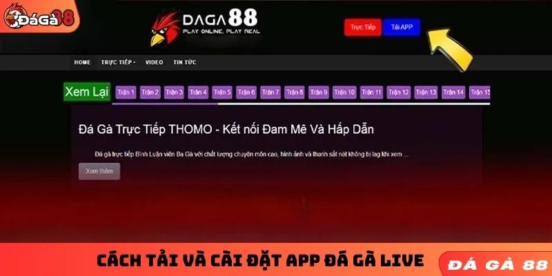 Cách tải và cài đặt app đá gà live