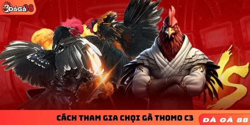 Cách tham gia chọi gà Thomo C3