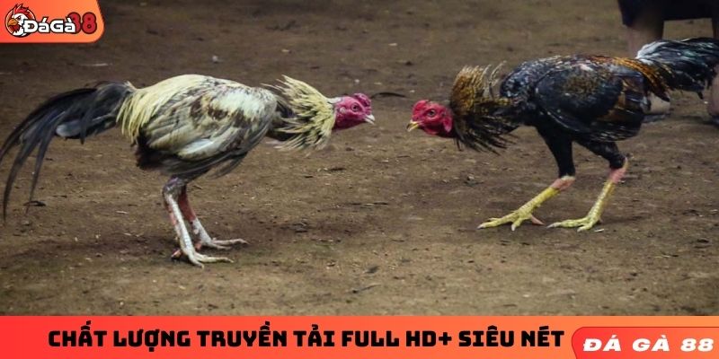 Chất lượng truyền tải full HD+ siêu nét