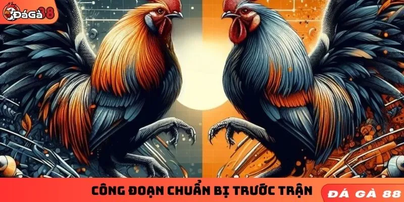 Công đoạn chuẩn bị trước trận