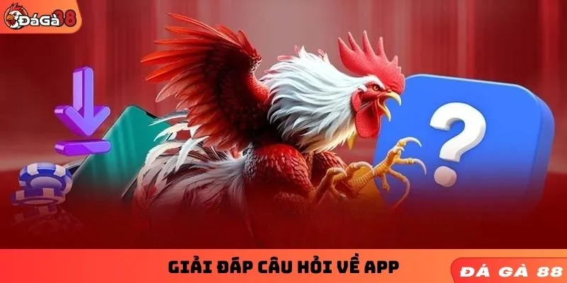 Giải đáp câu hỏi về app