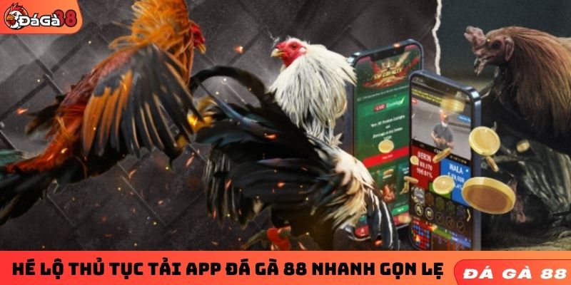 Hé lộ thủ tục tải app ĐÁ GÀ 88 nhanh gọn lẹ