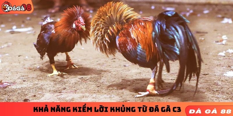 Khả năng kiếm lời khủng từ đá gà C3