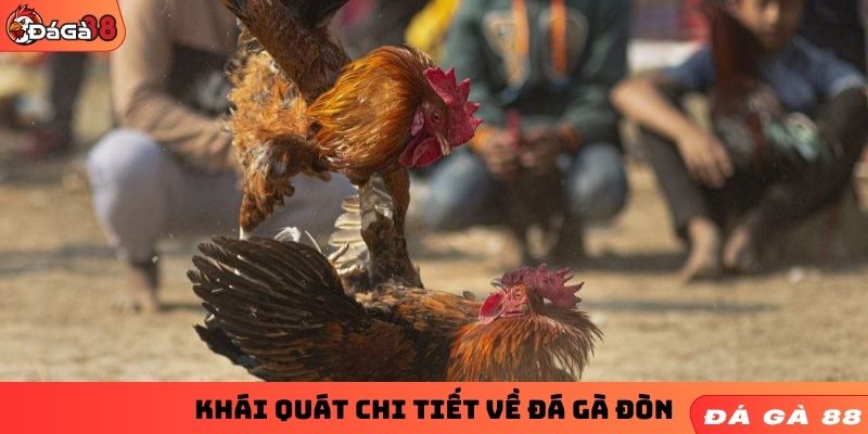 Khái quát chi tiết về đá gà đòn