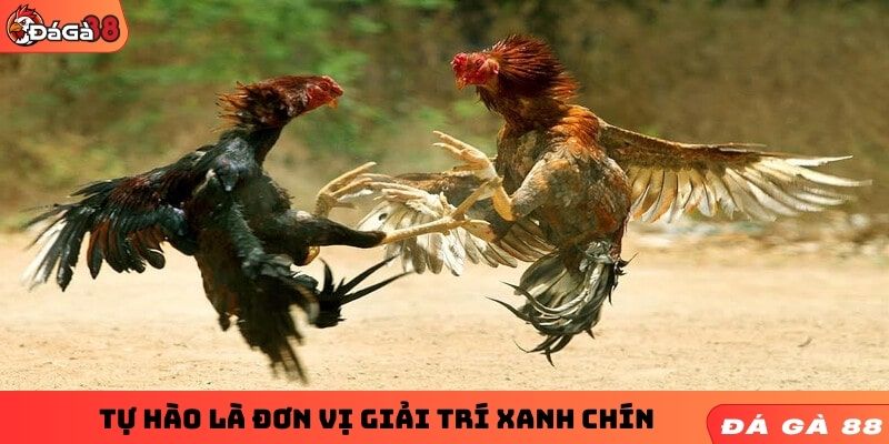 Tự hào là đơn vị giải trí xanh chín