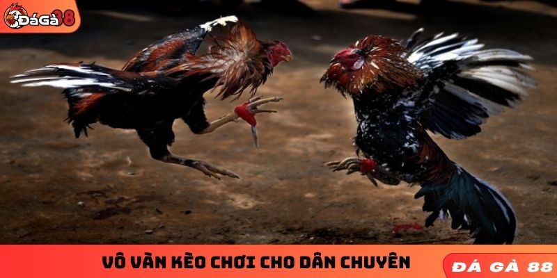 Vô vàn kèo chơi cho dân chuyên