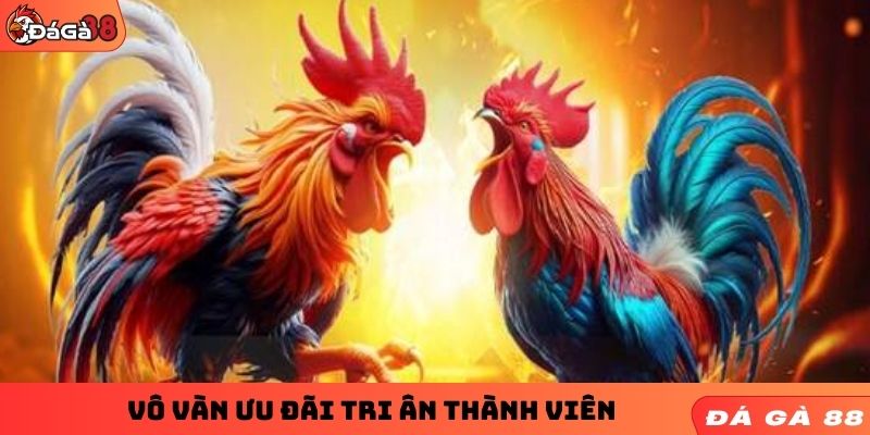 Vô vàn ưu đãi tri ân thành viên